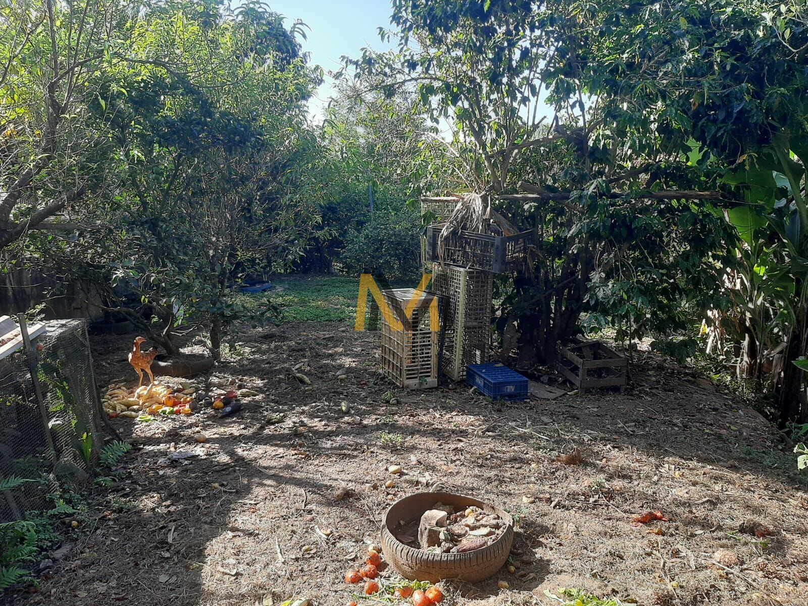 Chácara à venda com 3 quartos, 1496m² - Foto 29