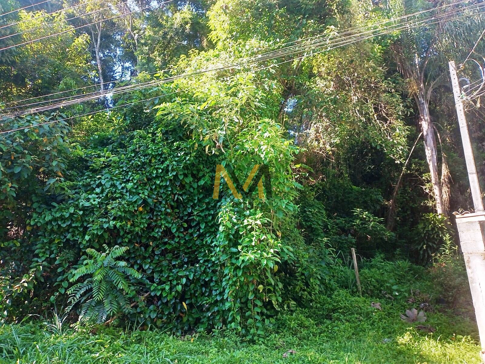 Terreno, 1253 m² - Foto 7