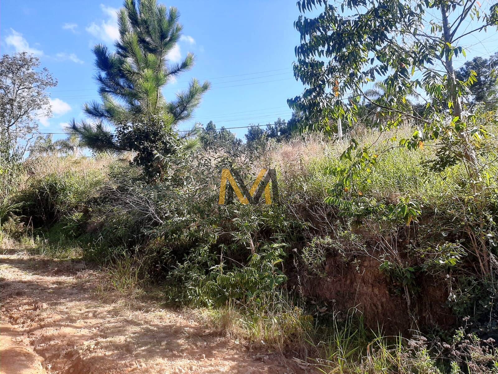Terreno, 1500 m² - Foto 12