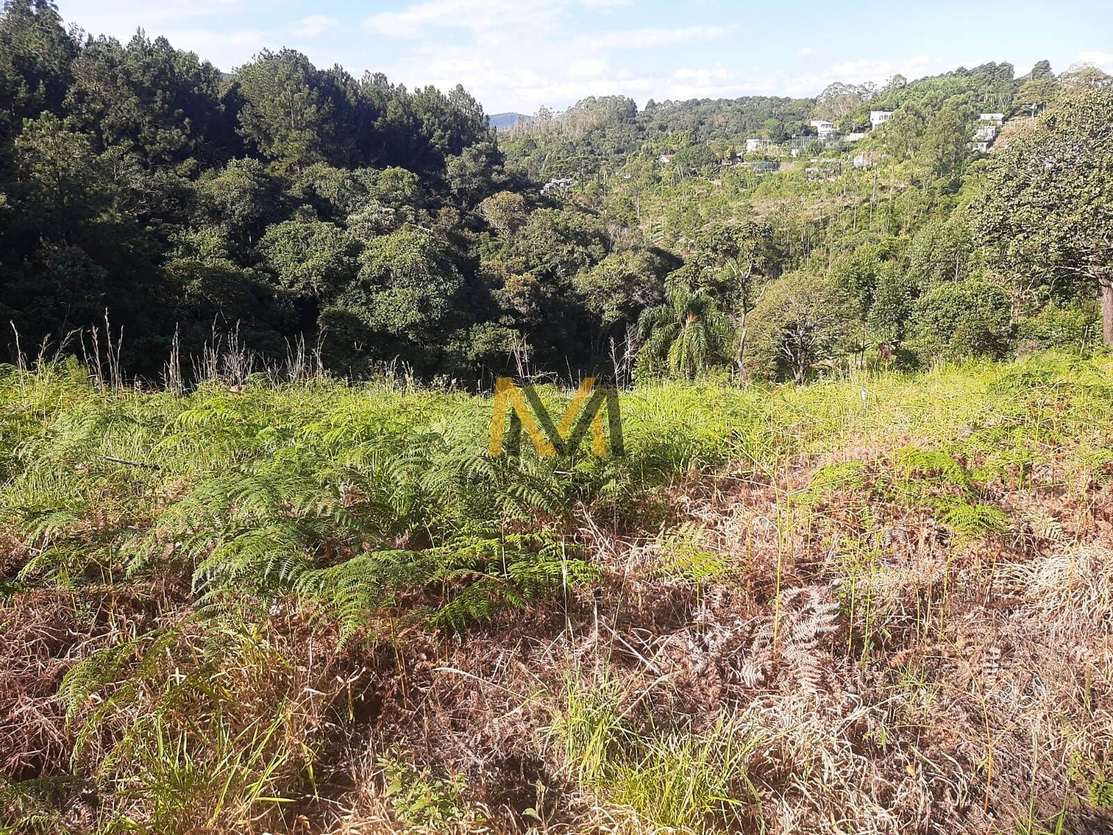 Terreno, 1500 m² - Foto 16