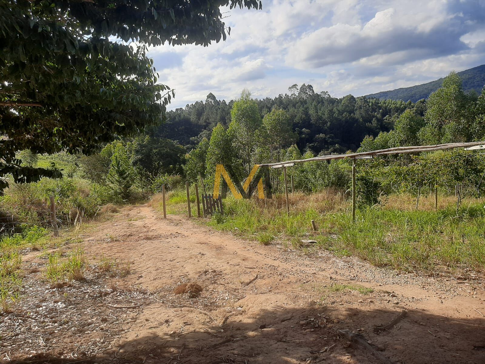 Terreno, 1500 m² - Foto 10