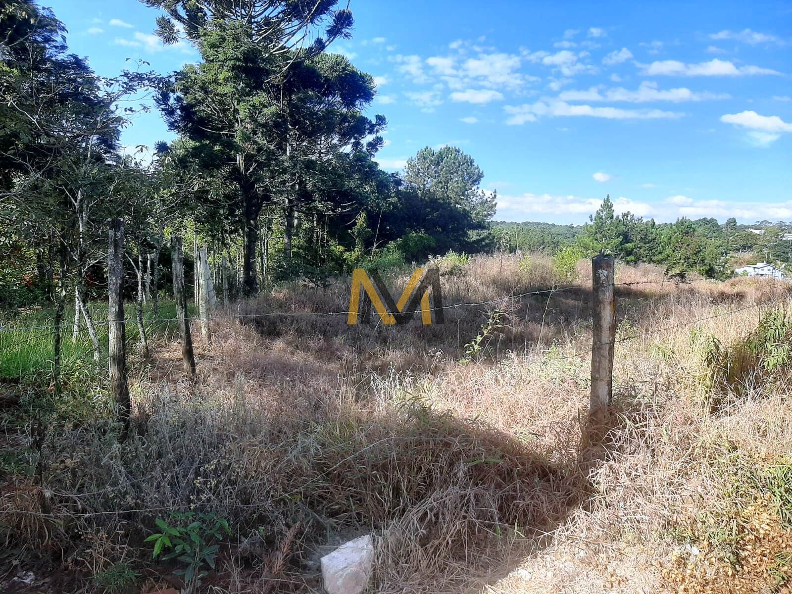 Terreno, 1500 m² - Foto 14