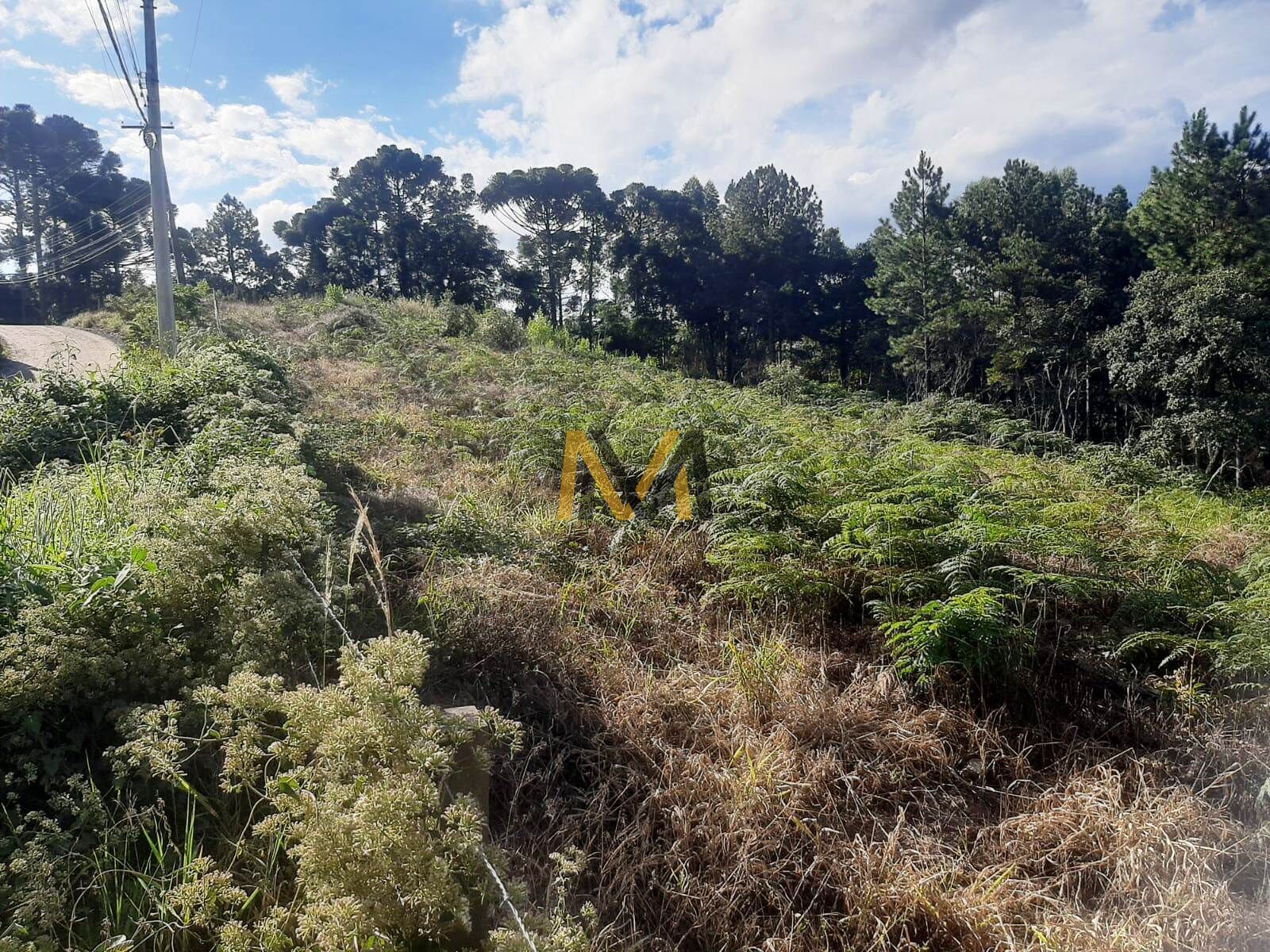 Terreno, 1500 m² - Foto 9