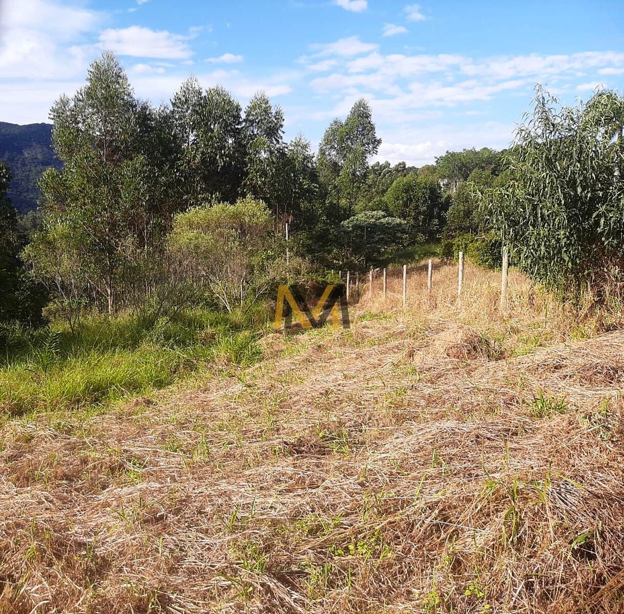 Terreno, 1500 m² - Foto 8