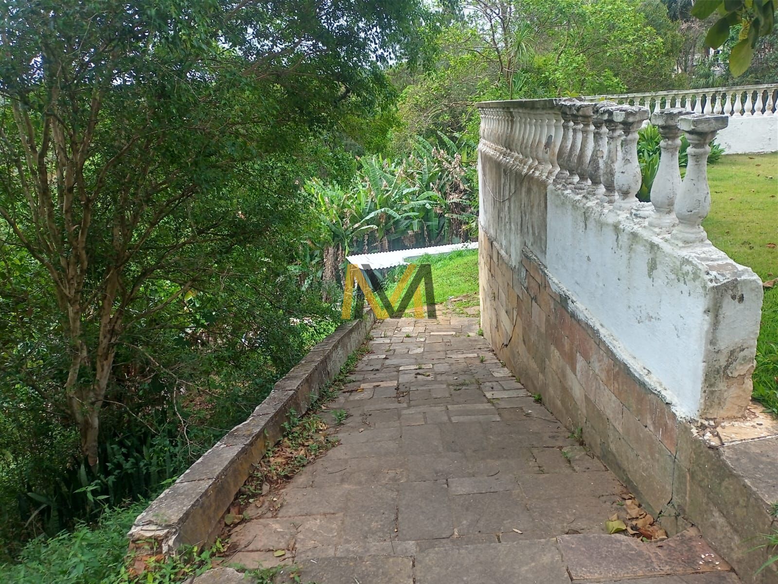 Fazenda à venda com 3 quartos, 7000m² - Foto 16