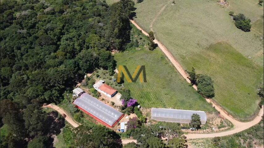 Chácara, 3 quartos, 2 hectares - Foto 35