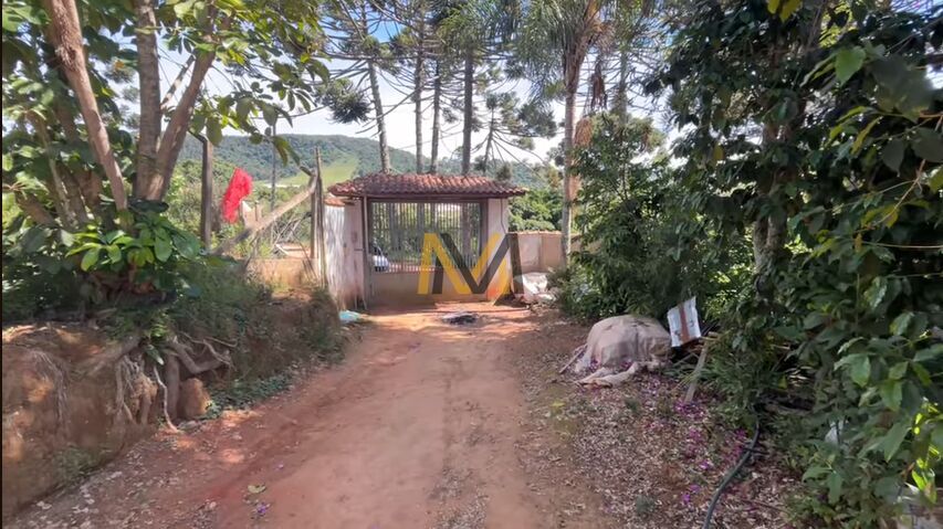 Chácara, 3 quartos, 2 hectares - Foto 31