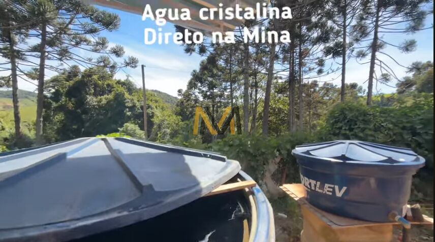 Chácara, 3 quartos, 2 hectares - Foto 28