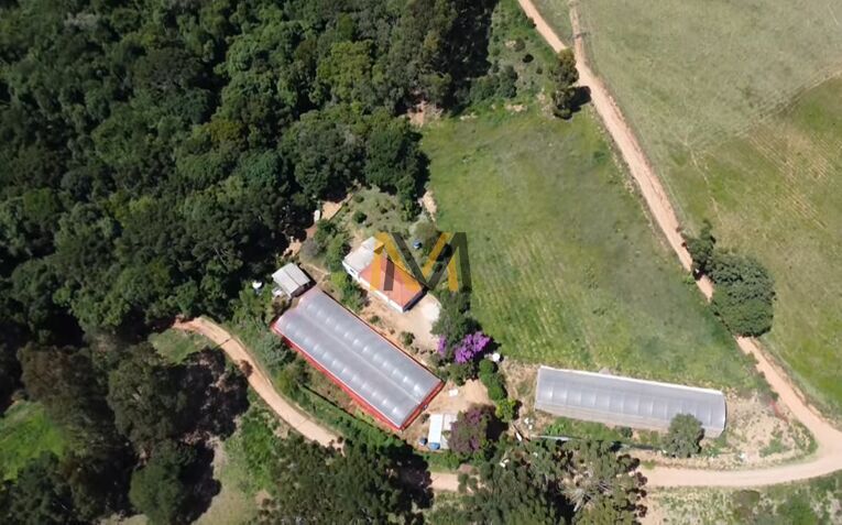 Chácara, 3 quartos, 2 hectares - Foto 36
