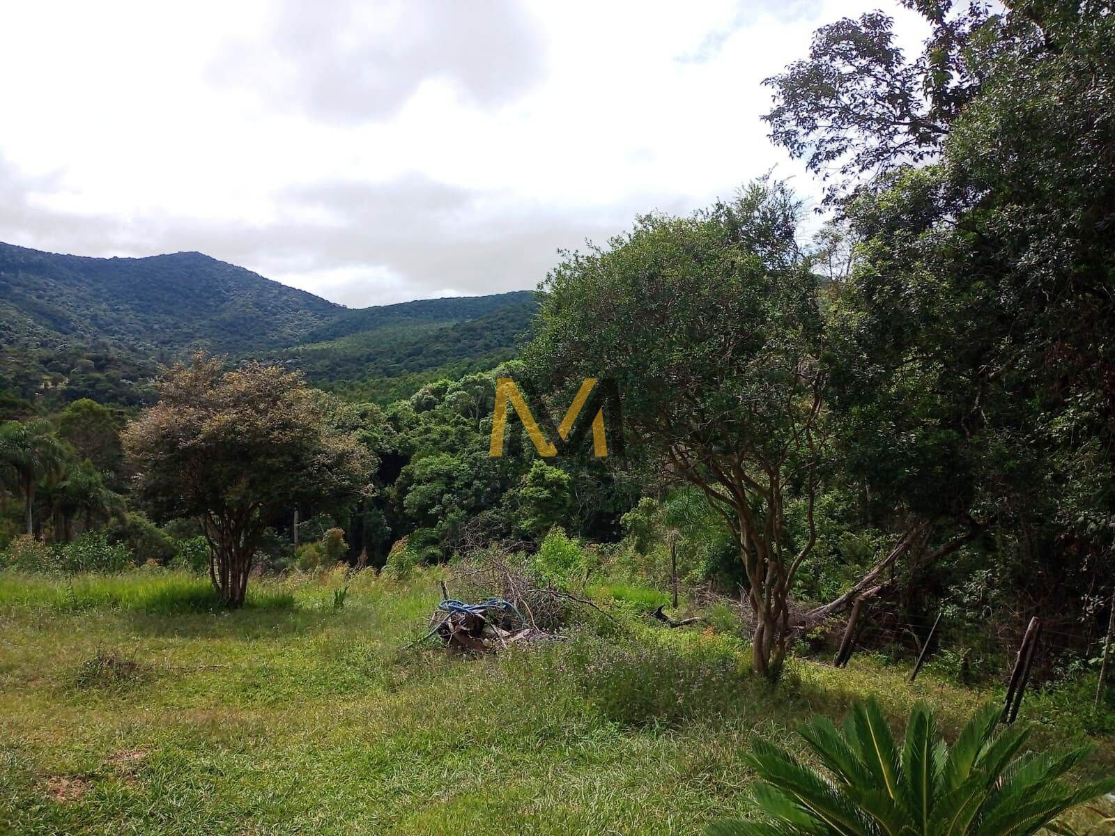 Sítio à venda com 3 quartos, 48000m² - Foto 29