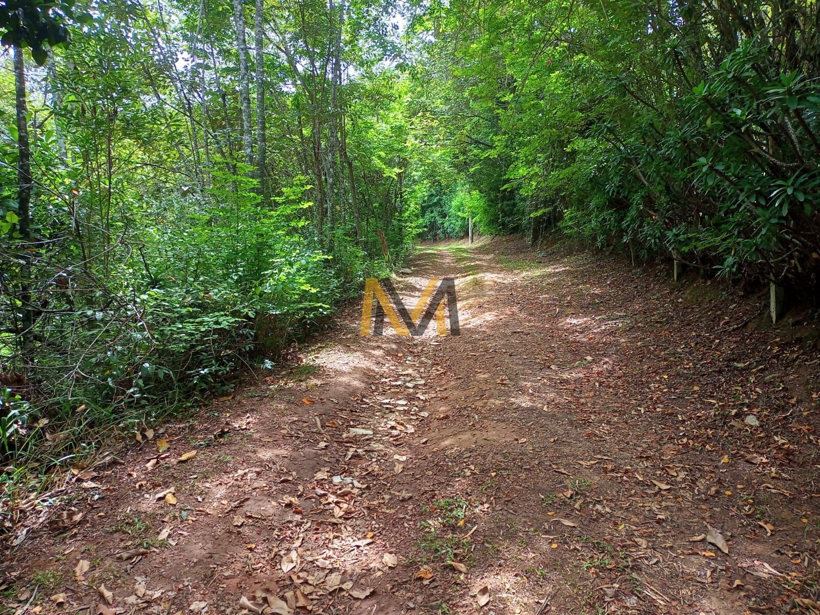 Sítio à venda com 3 quartos, 48000m² - Foto 11