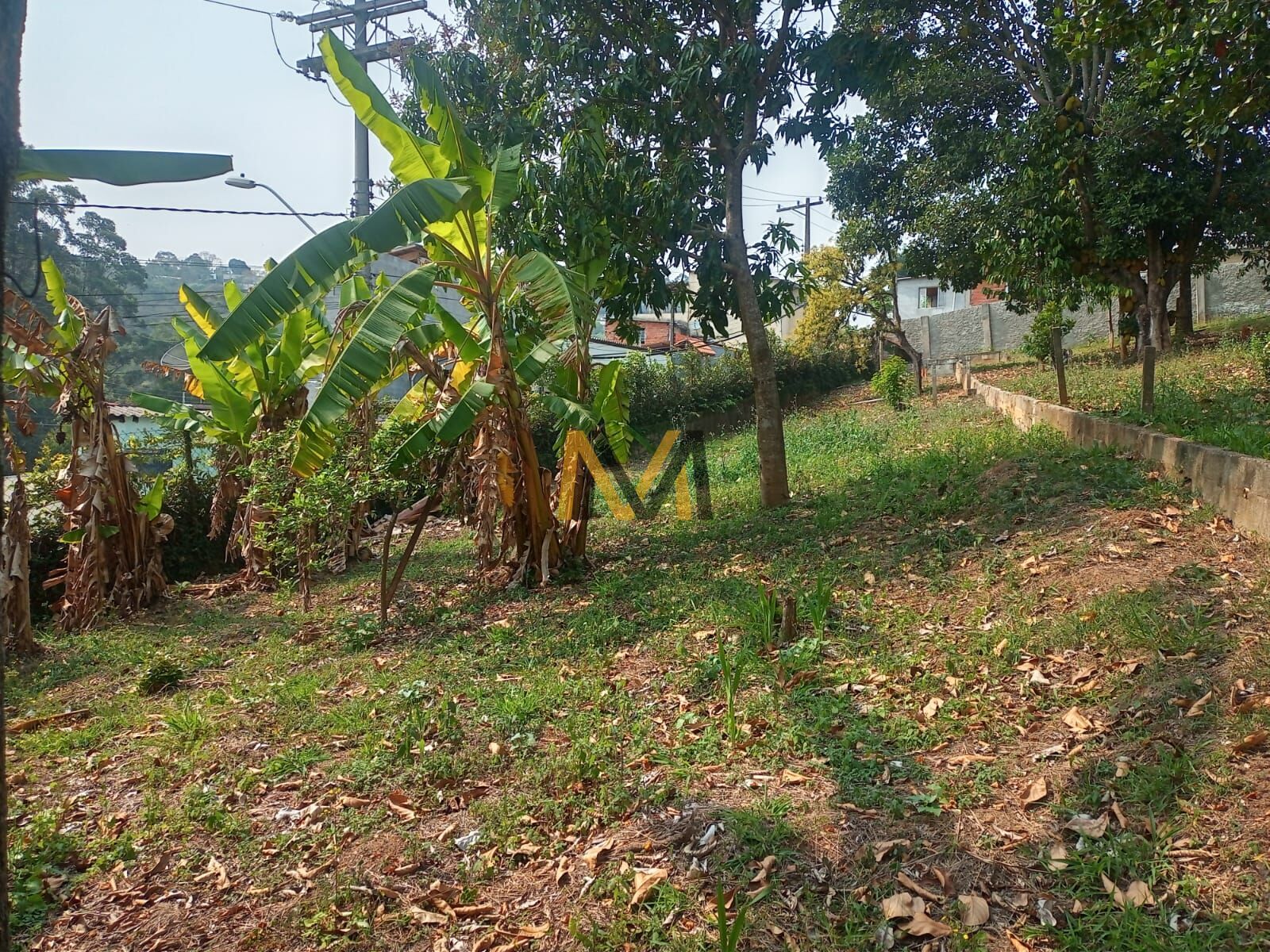 Fazenda à venda com 3 quartos, 3800m² - Foto 5