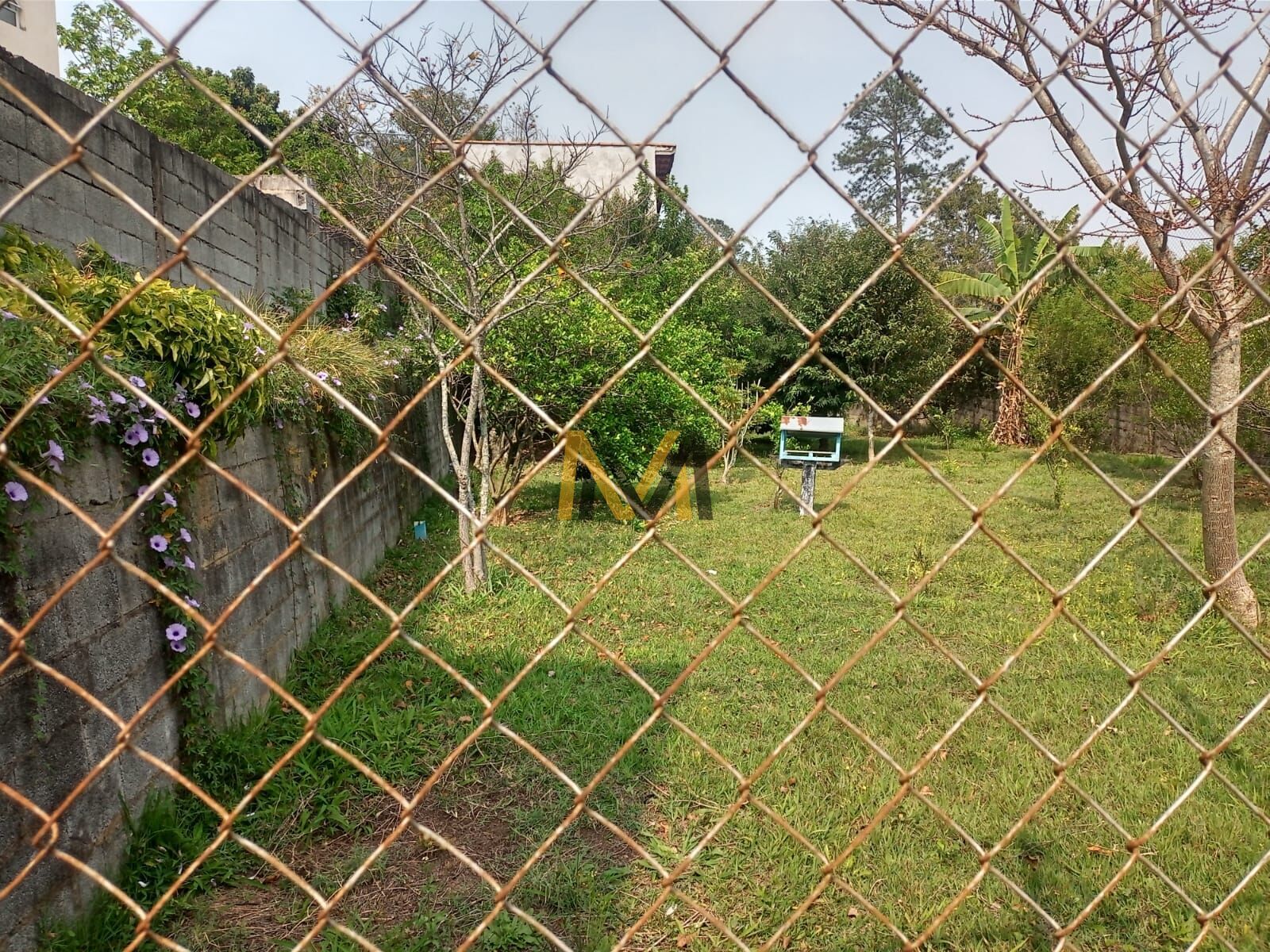 Fazenda à venda com 3 quartos, 3800m² - Foto 39