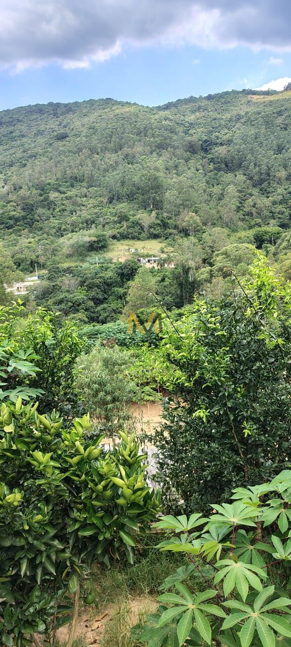 Chácara à venda com 2 quartos, 2500m² - Foto 7