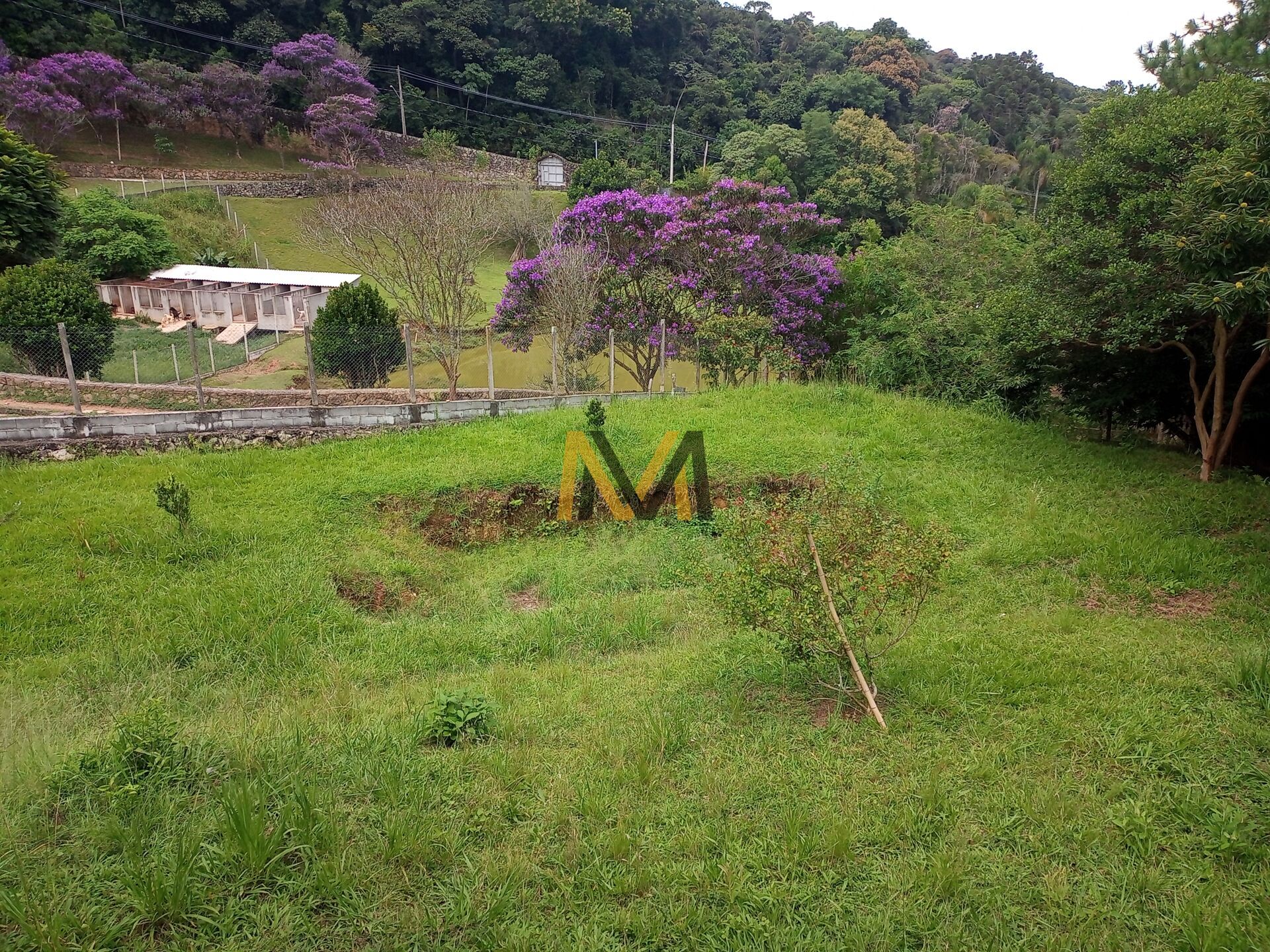 Fazenda à venda com 3 quartos, 2500m² - Foto 23