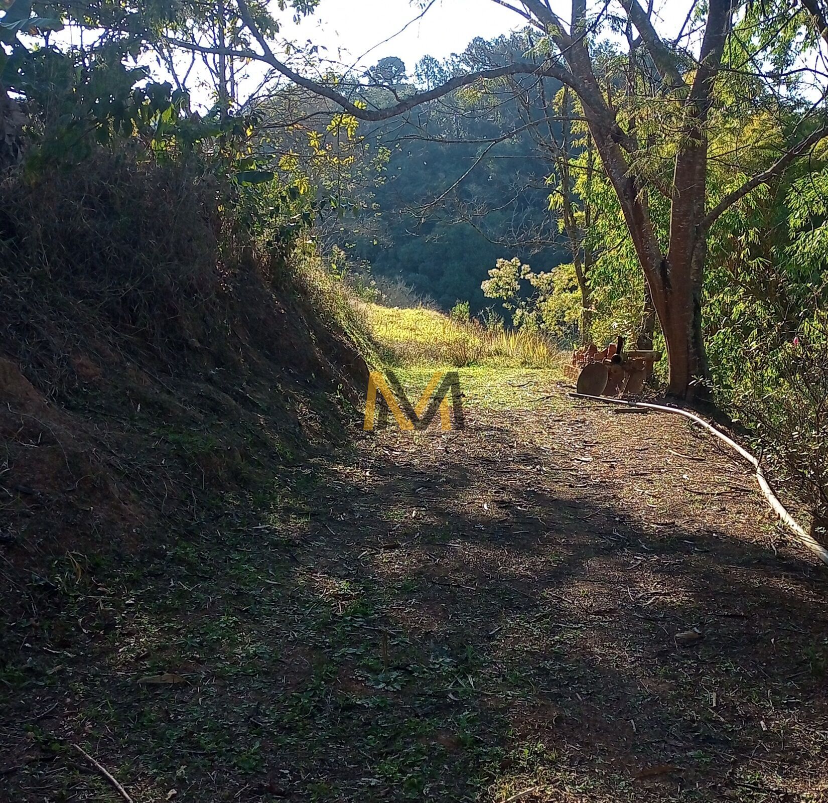 Terreno à venda, 7000m² - Foto 3