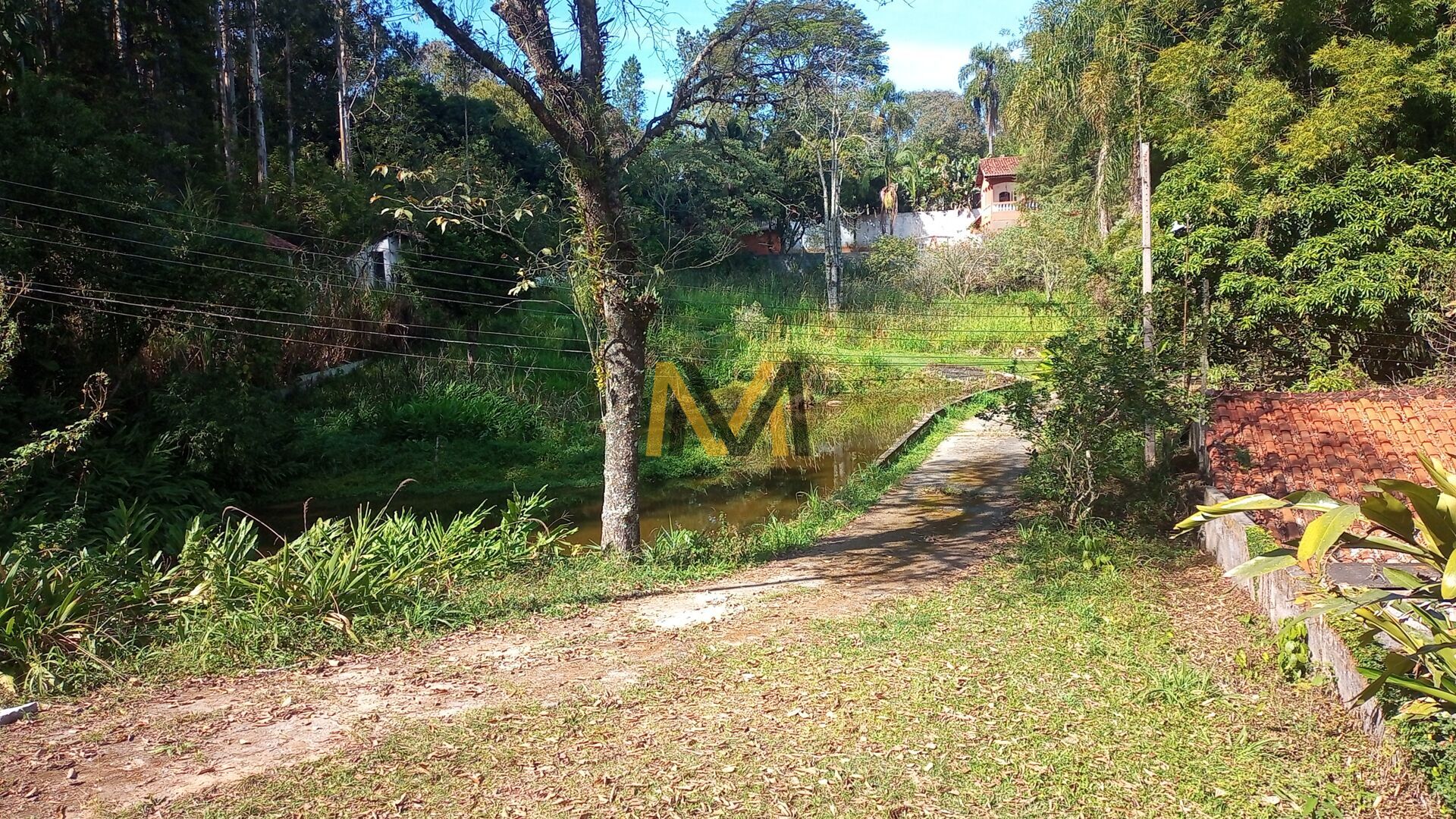 Fazenda à venda com 4 quartos, 24200m² - Foto 31