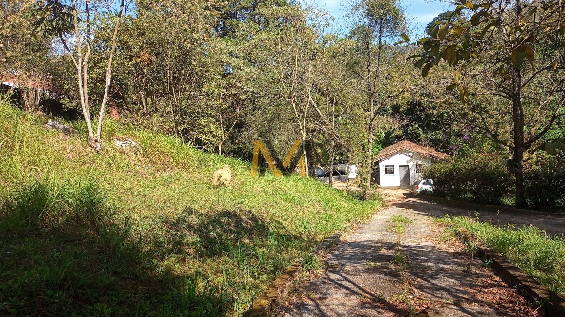 Fazenda à venda com 4 quartos, 24200m² - Foto 5