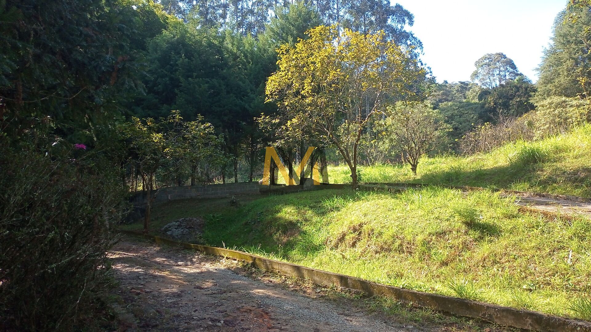 Fazenda à venda com 4 quartos, 24200m² - Foto 15