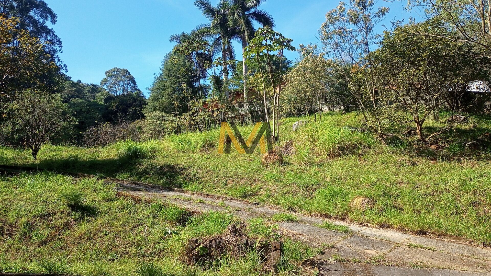 Fazenda à venda com 4 quartos, 24200m² - Foto 14