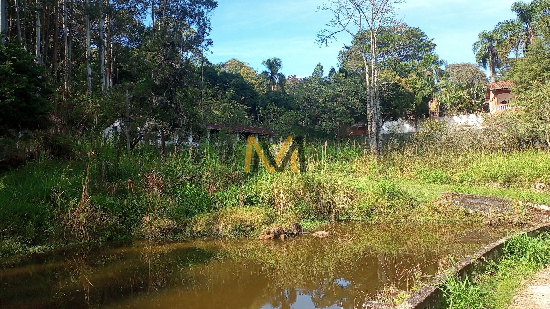 Fazenda à venda com 4 quartos, 24200m² - Foto 33