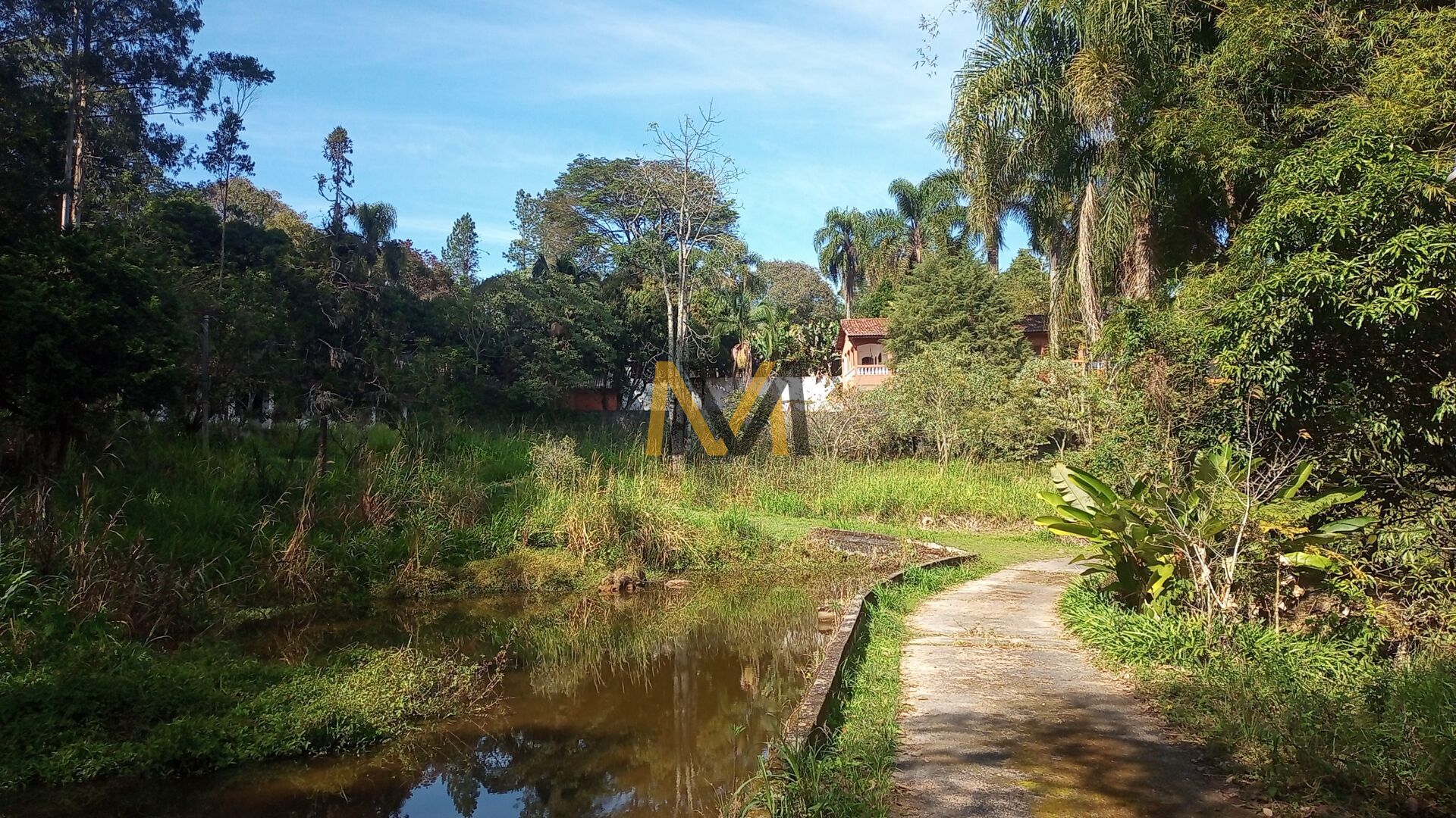 Fazenda à venda com 4 quartos, 24200m² - Foto 32