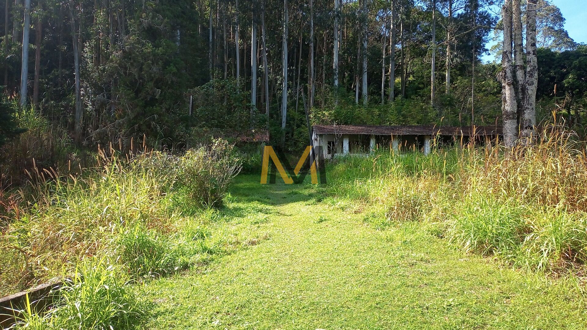 Fazenda à venda com 4 quartos, 24200m² - Foto 34