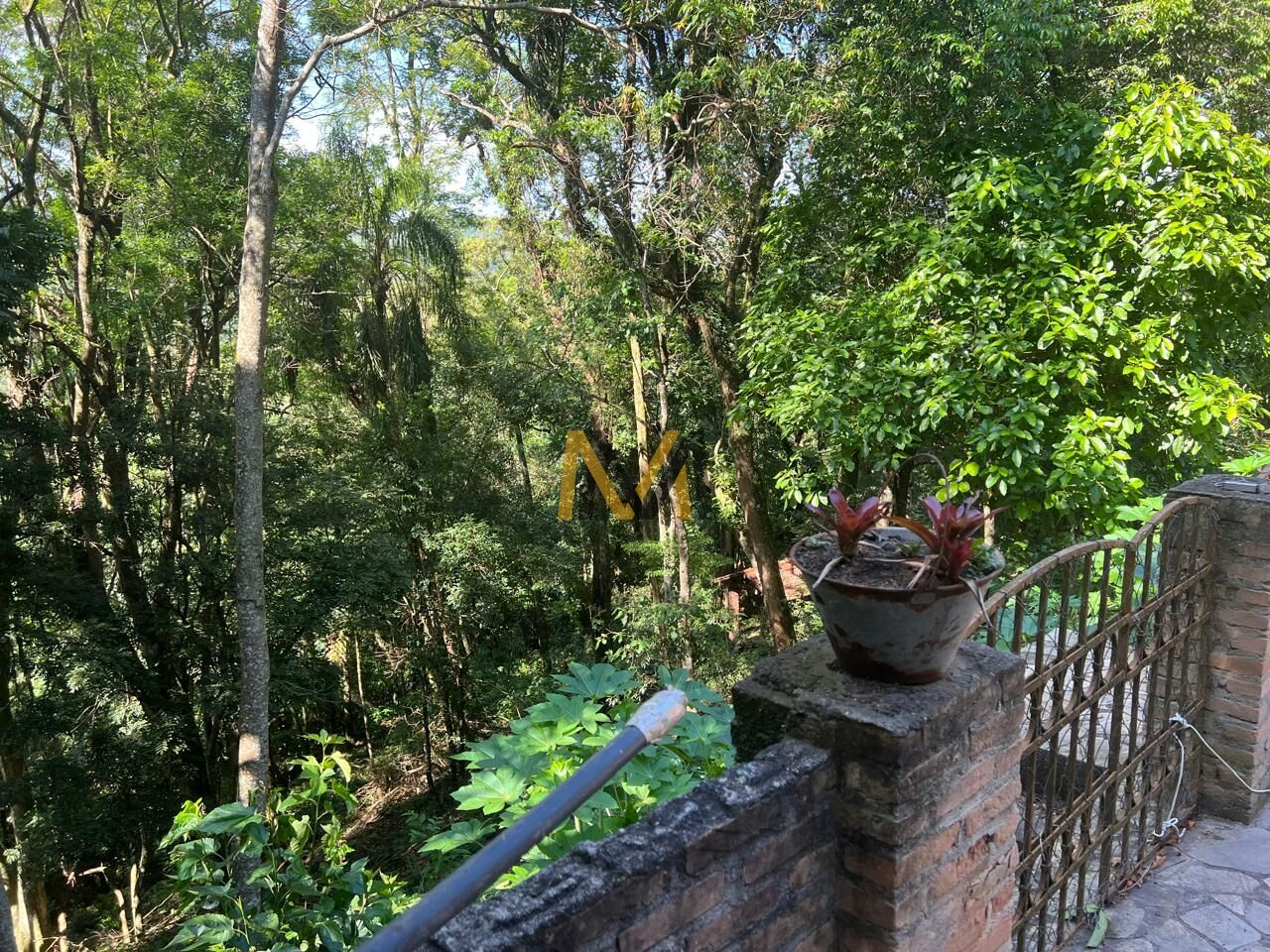 Sítio, 3 quartos, 2700 m² - Foto 33