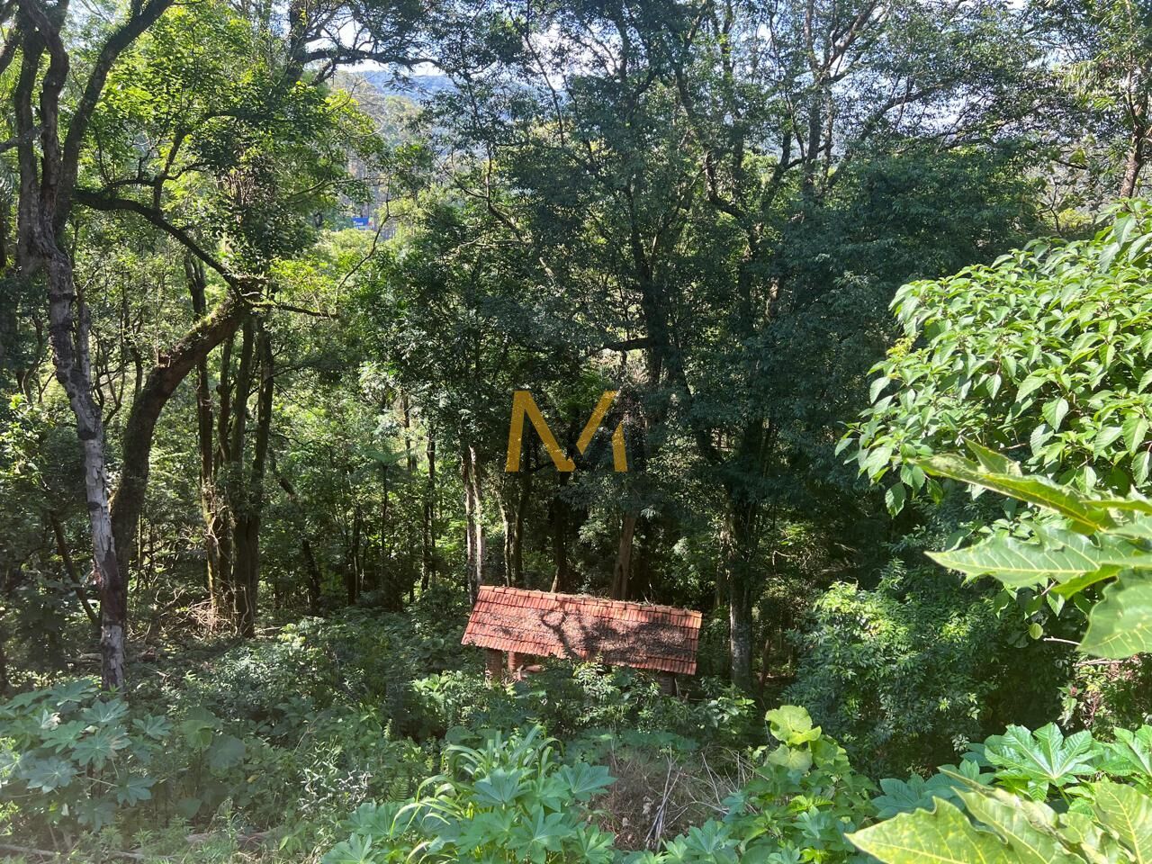 Sítio, 3 quartos, 2700 m² - Foto 40