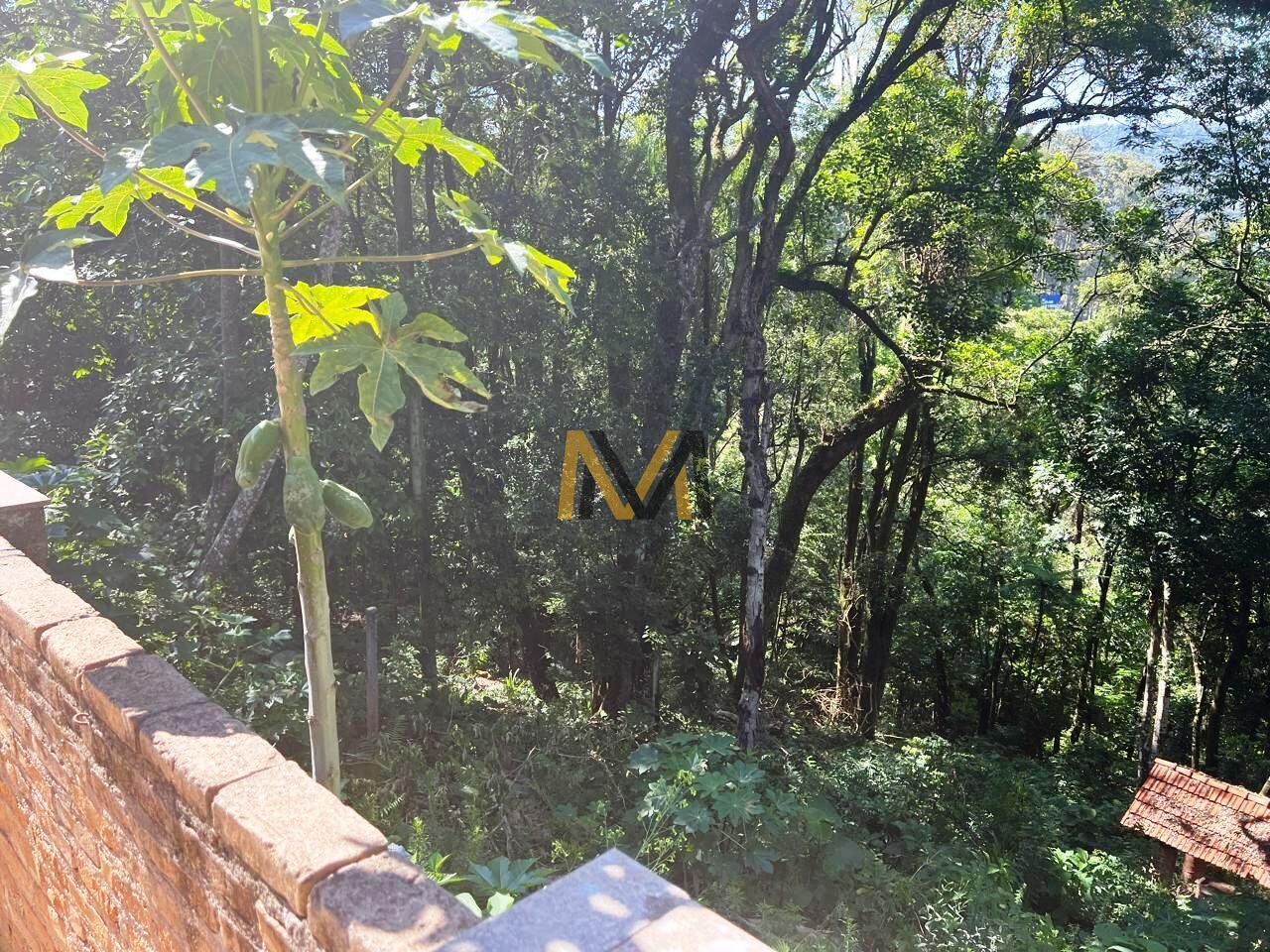 Sítio, 3 quartos, 2700 m² - Foto 21