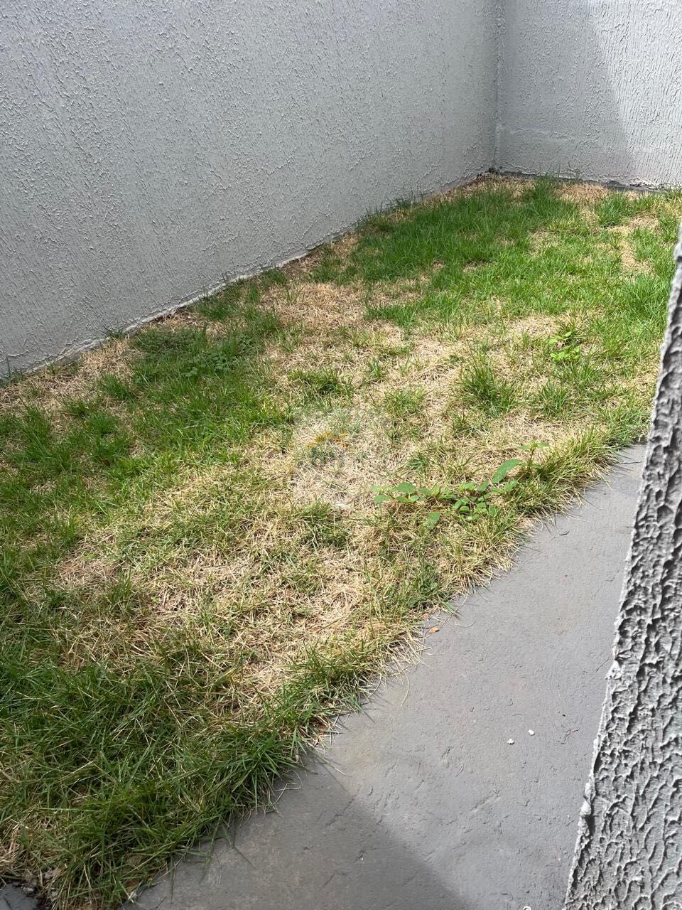 Casa, 2 quartos, 69 m² - Foto 13