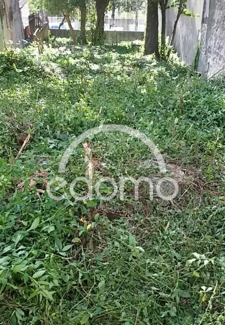 Terreno, 302 m² - Foto 3