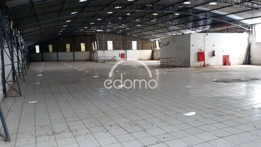 Depósito-Galpão, 4523 m² - Foto 3
