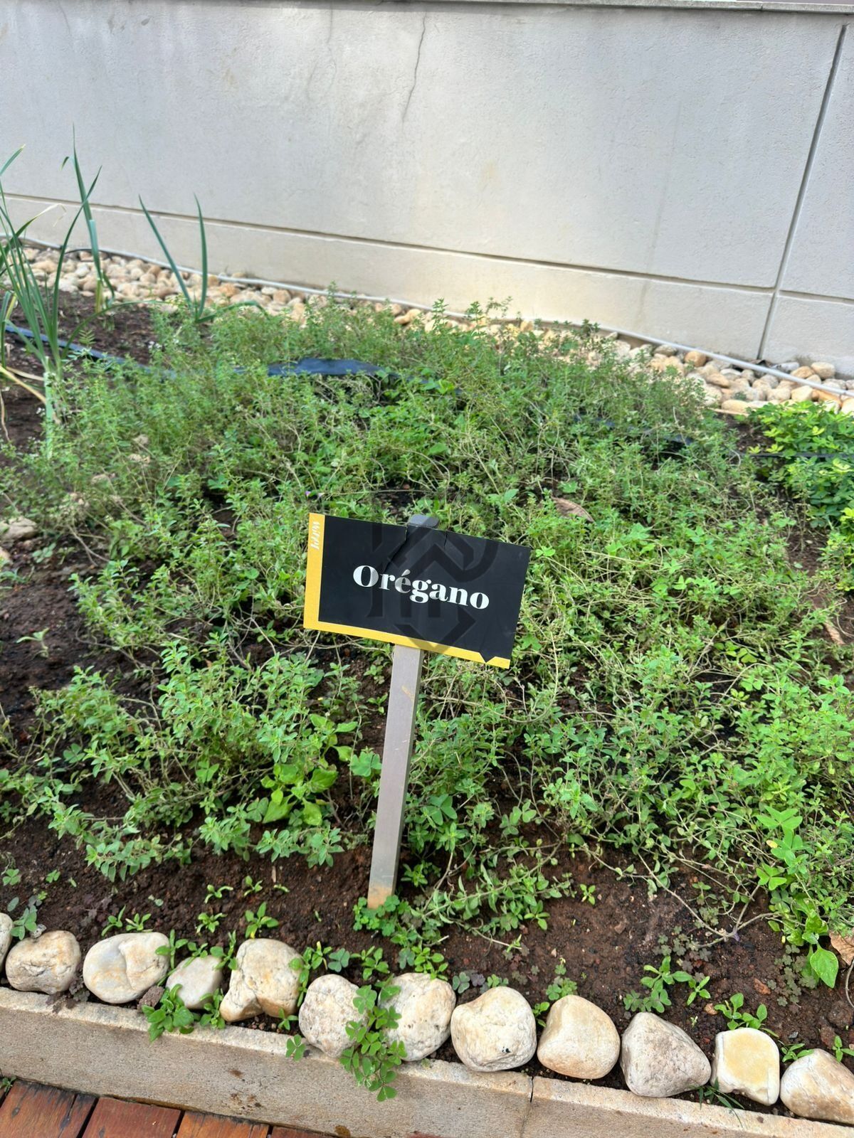 Apartamento, 2 quartos, 75 m² - Foto 65