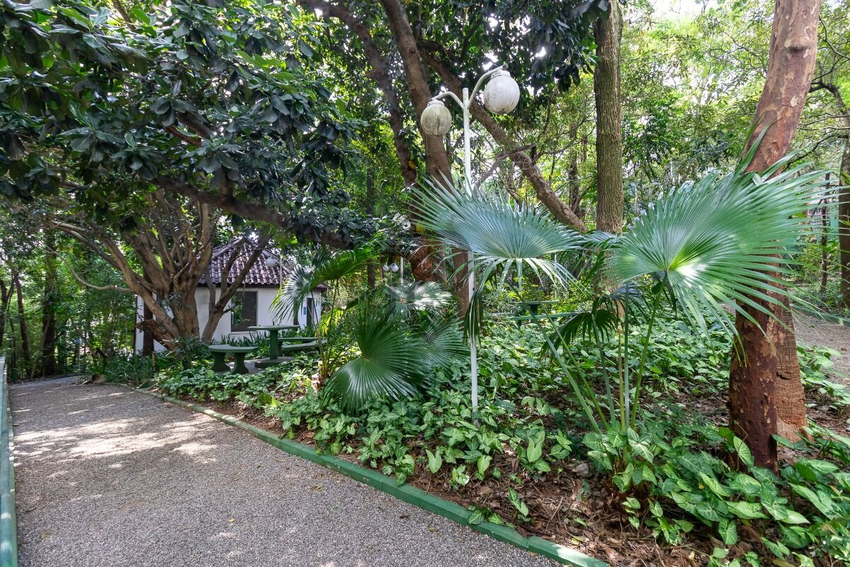 Apartamento, 4 quartos, 275 m² - Foto 43