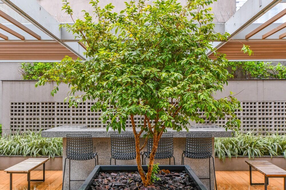 Apartamento, 4 quartos, 214 m² - Foto 9