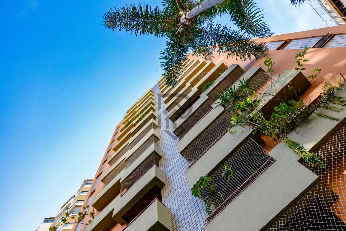 Apartamento, 3 quartos, 81 m² - Foto 1