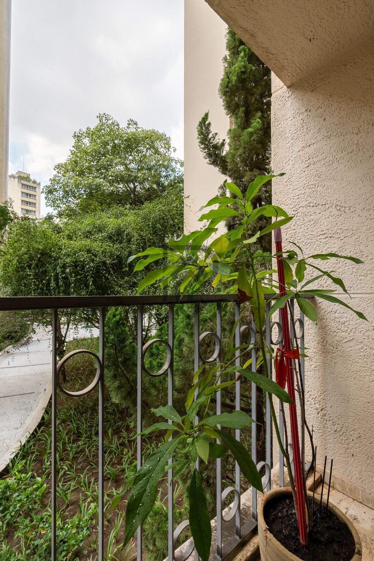 Apartamento, 3 quartos, 116 m² - Foto 2