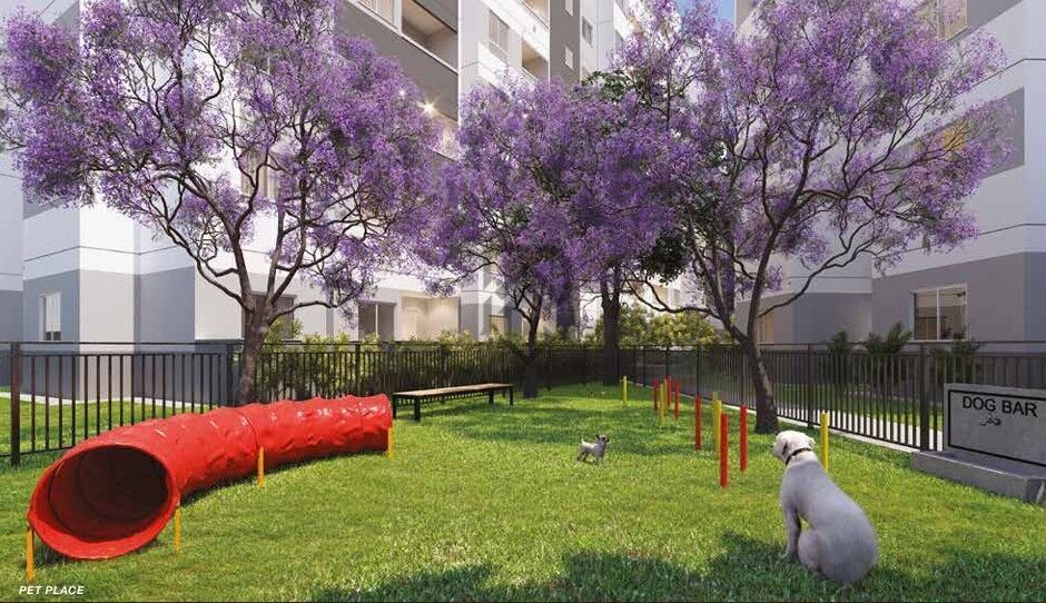 Apartamento, 3 quartos, 60 m² - Foto 3