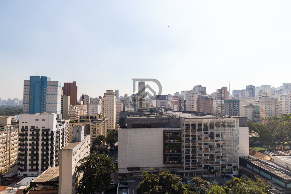 Apartamento, 4 quartos, 245 m² - Foto 30