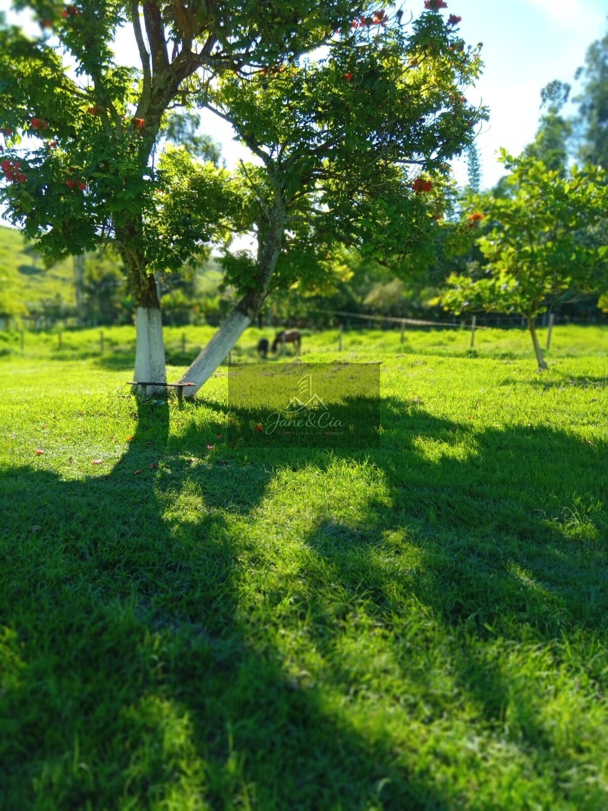 Sítio à venda com 7 quartos, 3m² - Foto 27