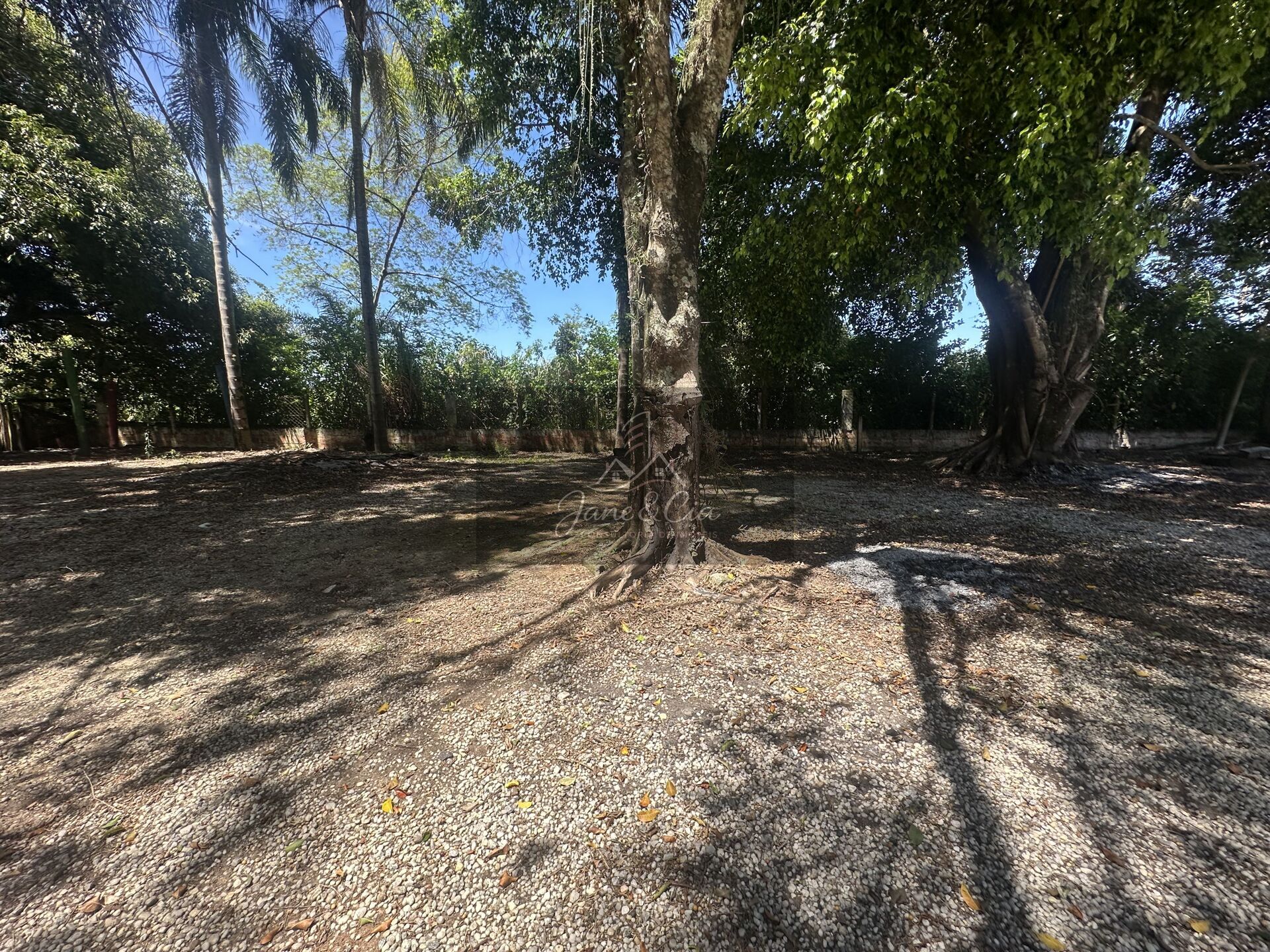 Chácara, 1 quarto, 3377 m² - Foto 8