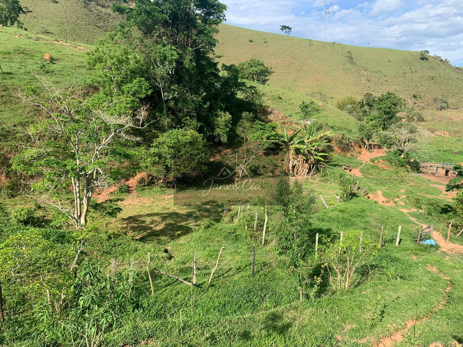 Sítio, 2 quartos, 11000 hectares - Foto 4