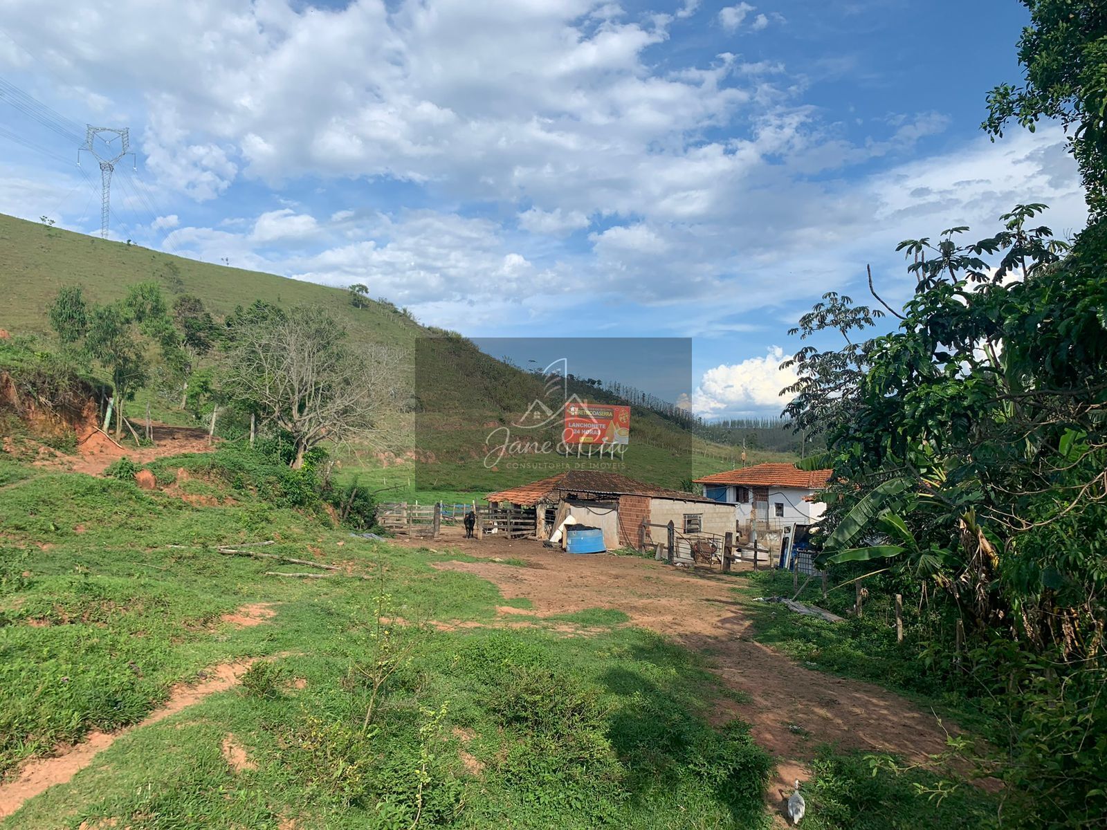 Sítio, 2 quartos, 11000 hectares - Foto 5