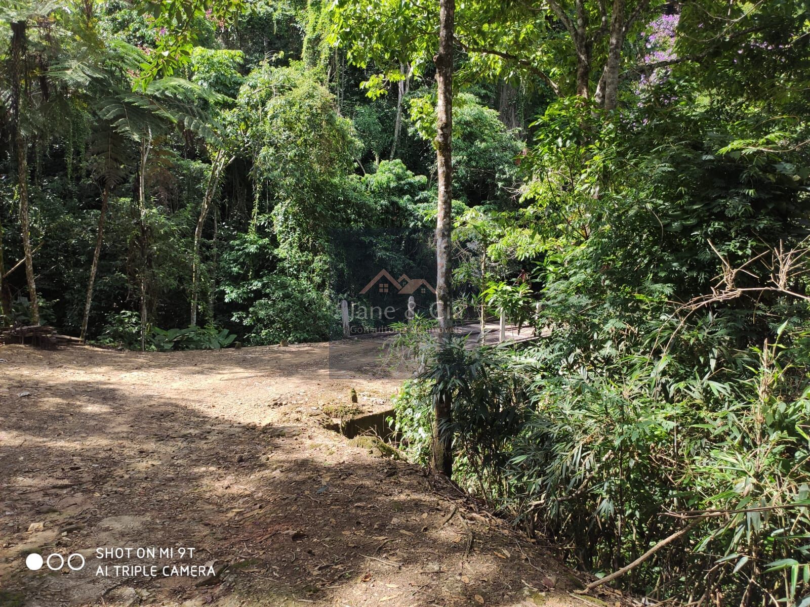Sítio à venda com 3 quartos, 870000m² - Foto 15