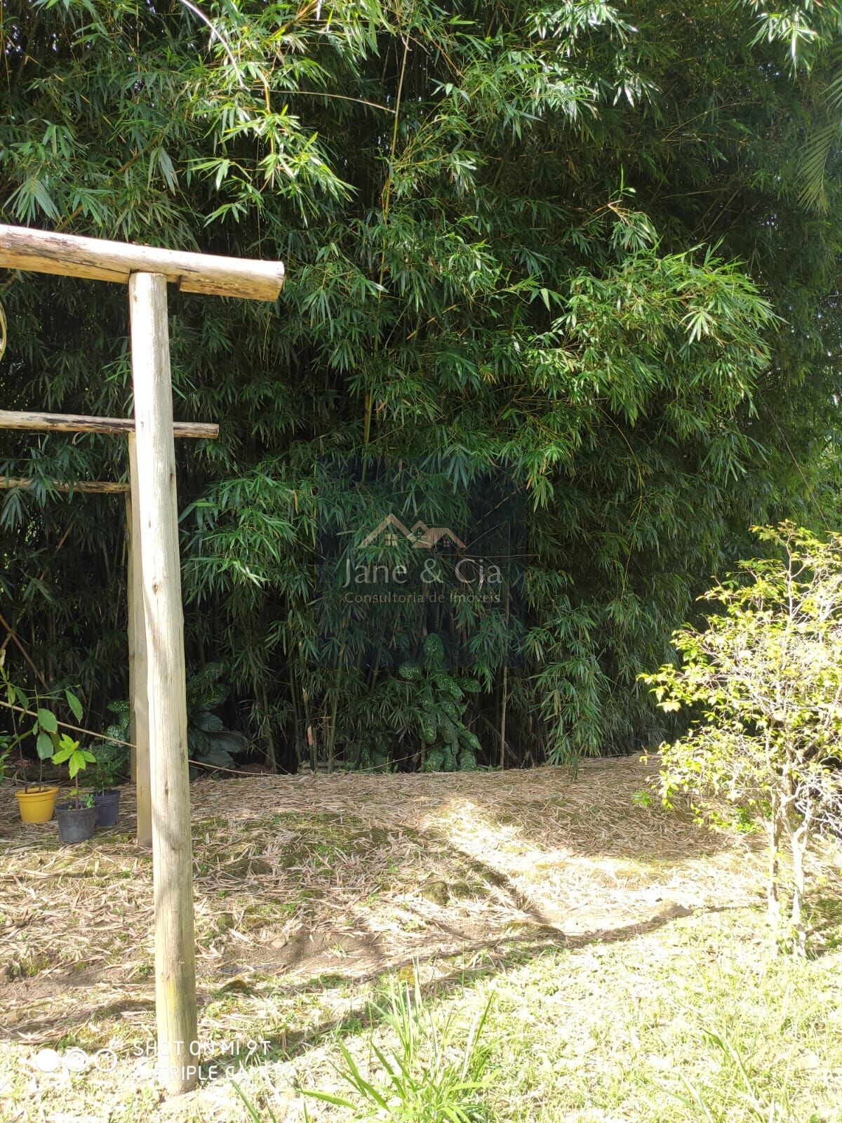 Sítio à venda com 3 quartos, 870000m² - Foto 16