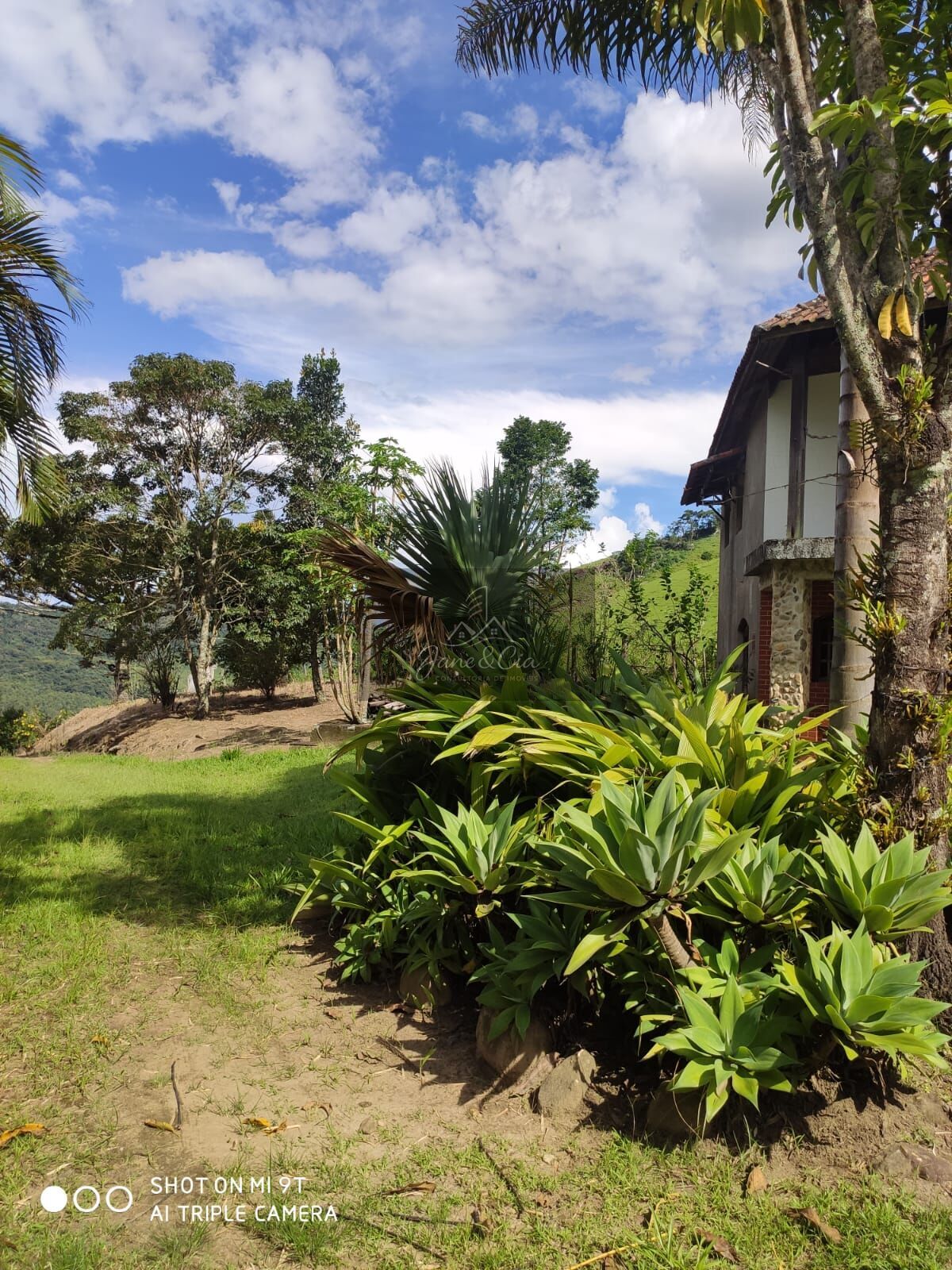 Sítio à venda com 3 quartos, 870000m² - Foto 2