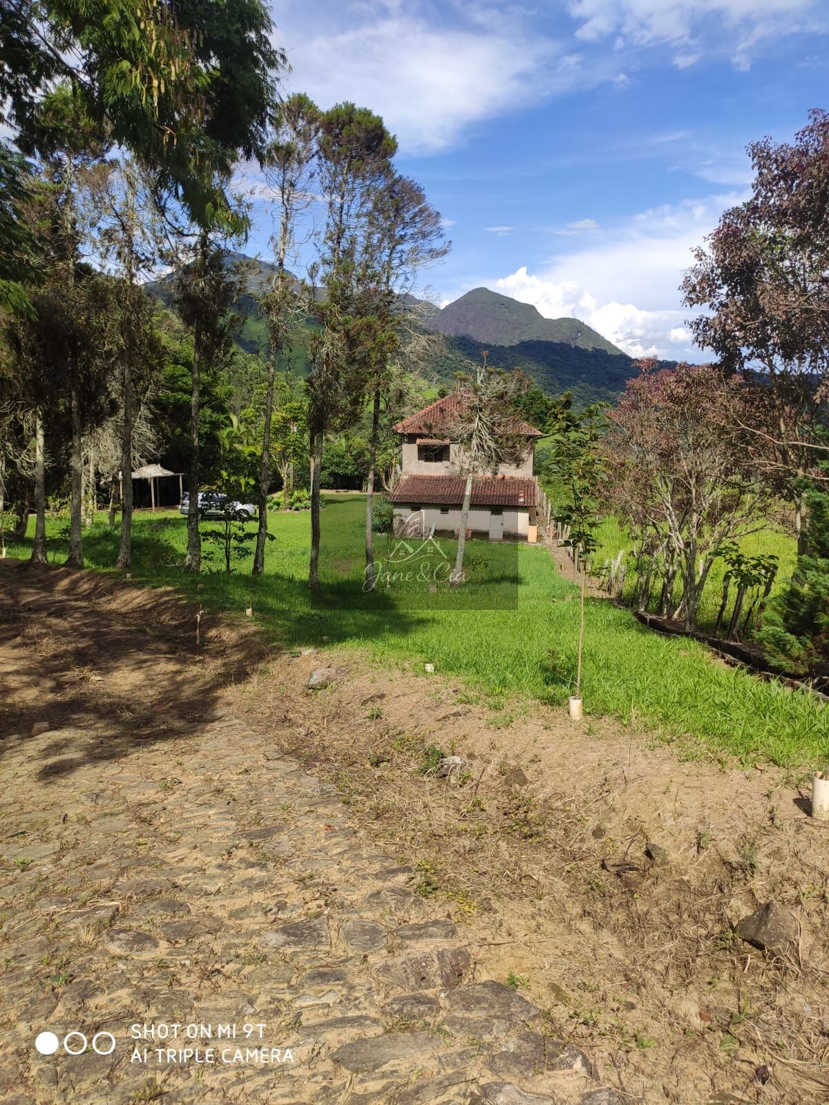 Sítio à venda com 3 quartos, 870000m² - Foto 22