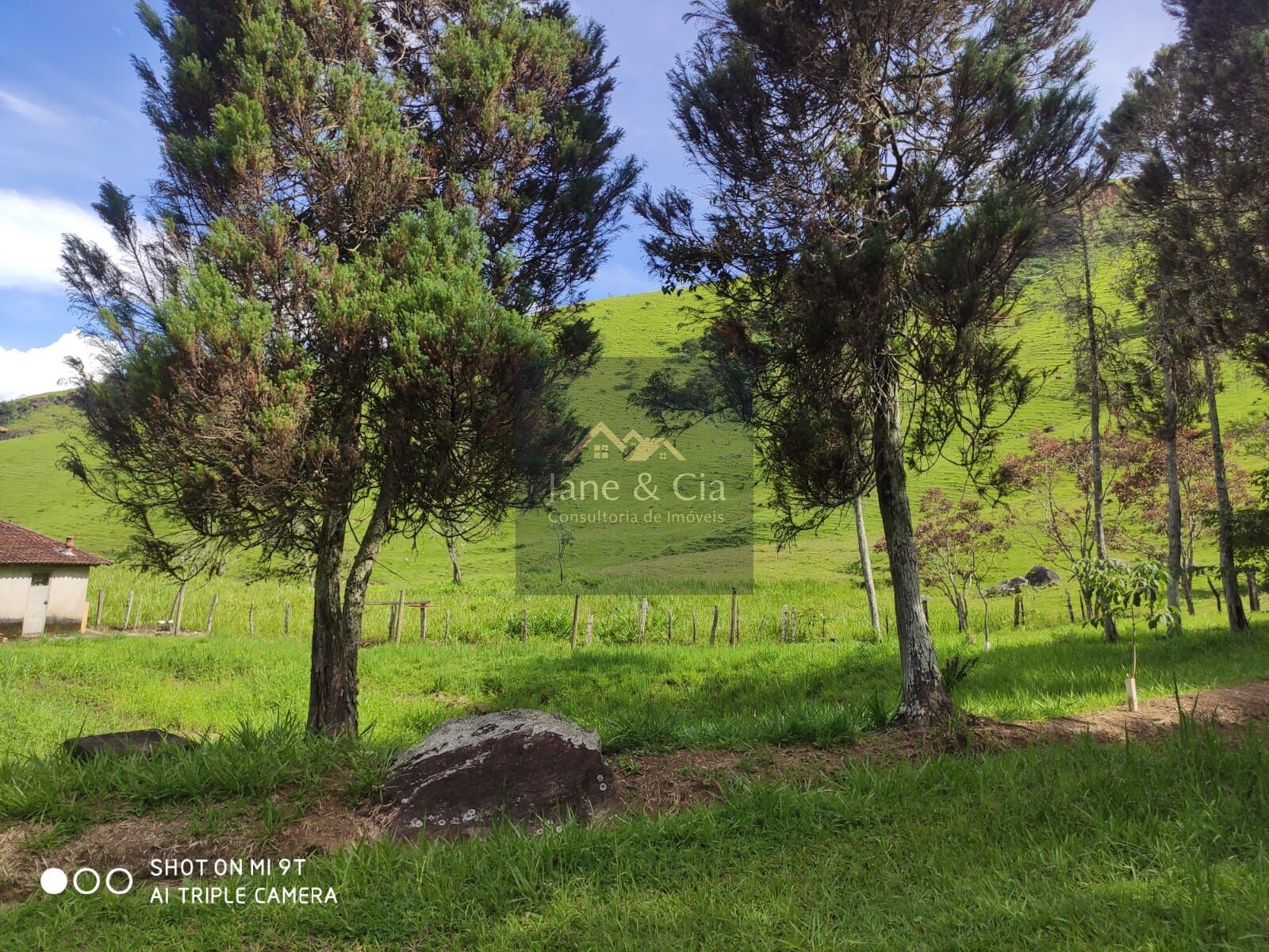 Sítio à venda com 3 quartos, 870000m² - Foto 24