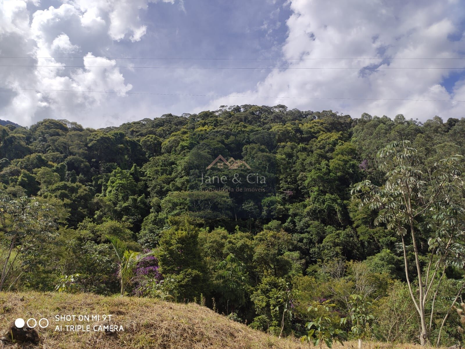 Sítio à venda com 3 quartos, 870000m² - Foto 10